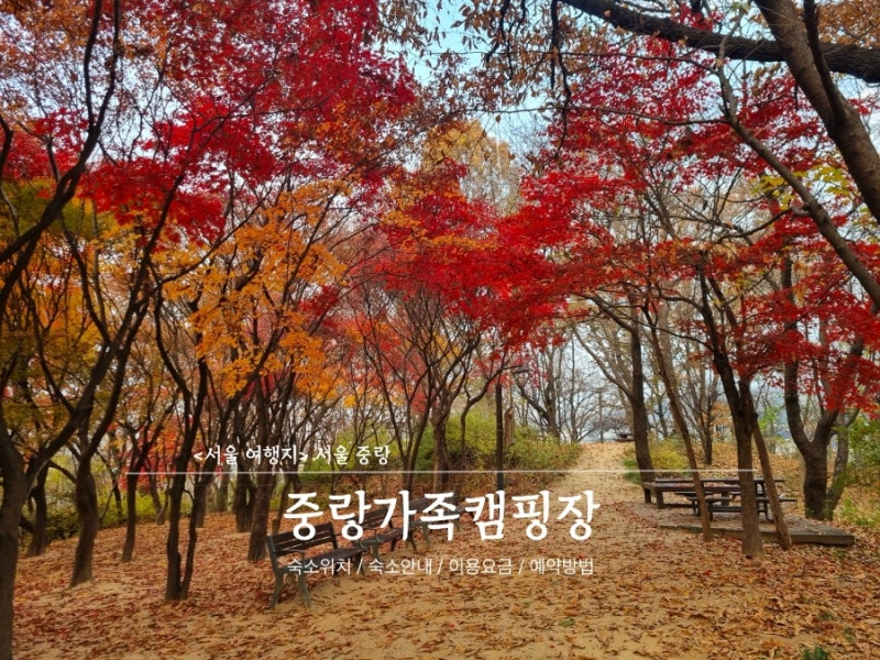 [서울중랑]중랑가족캠핑장 중랑캠핑숲 A2-1 오토캠핑장 뚜벅이 백패킹 서울가볼만한곳 후기