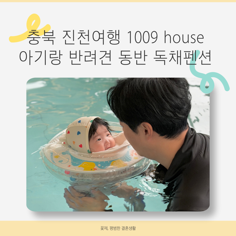 사진 3