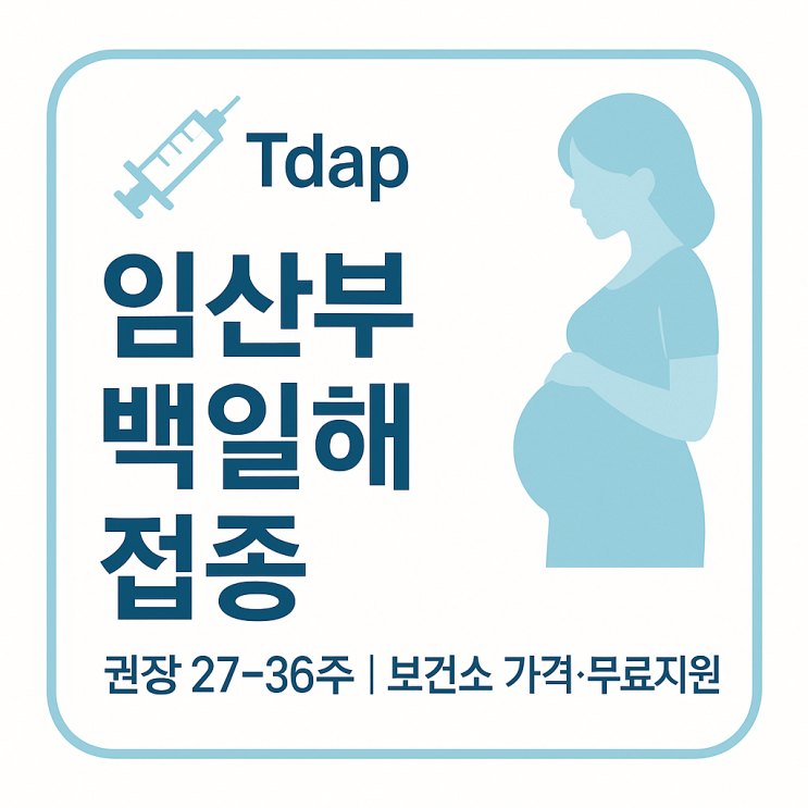  성인&임산부 백일해 주사 예방접종기간·보건소 가격 완벽 가이드｜무료지원 확인법