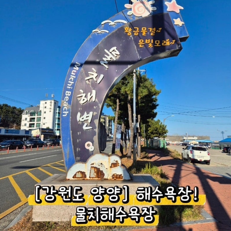 [강원도 양양] 해수욕장 투어! 물치해수욕장