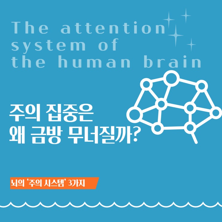  왜 주의 집중은 금방 무너질까? 뇌의 ‘주의 시스템’ 3가지로 이해하기