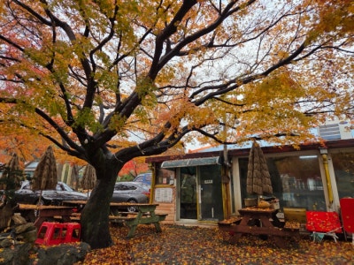 사진 6