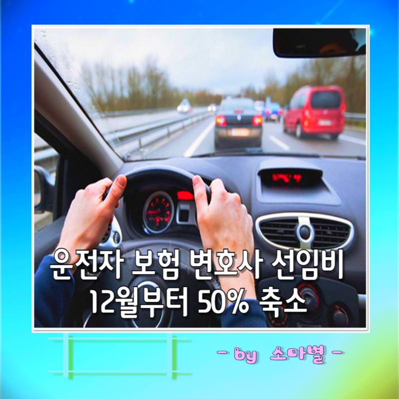 운전자 보험 변호사 선임비 보장 12월 자기부담금 50% 축소, 지금 가입해야 하나