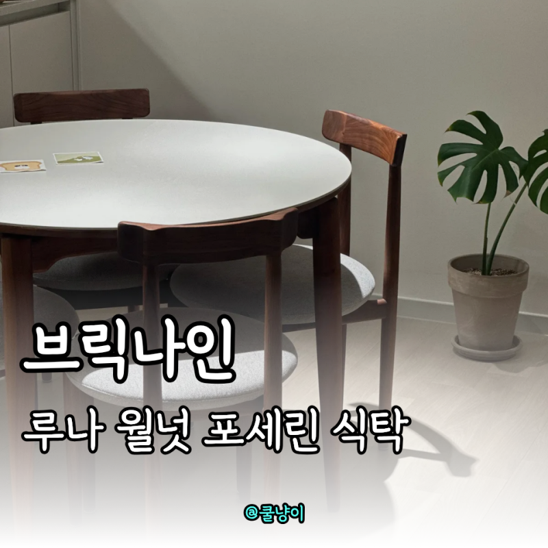 신혼 식탁 고민 끝, 실물 보고 결정한 브릭나인 월넛 원형 포세린 식탁
