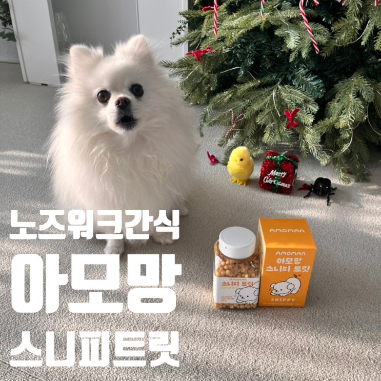  강아지 노즈워크에 잘 맞는 초소형 간식 찾았어요 아모망 스니피 트릿