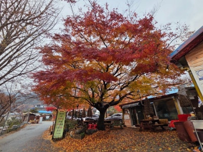 사진 5