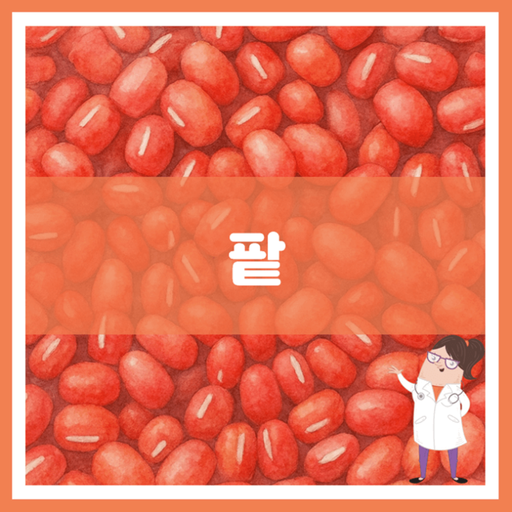  팥 효능 부작용 보관방법