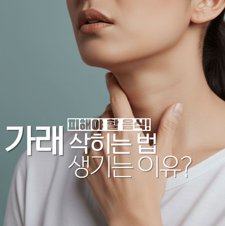  가래 삭히는 법 생기는 이유 총정리!