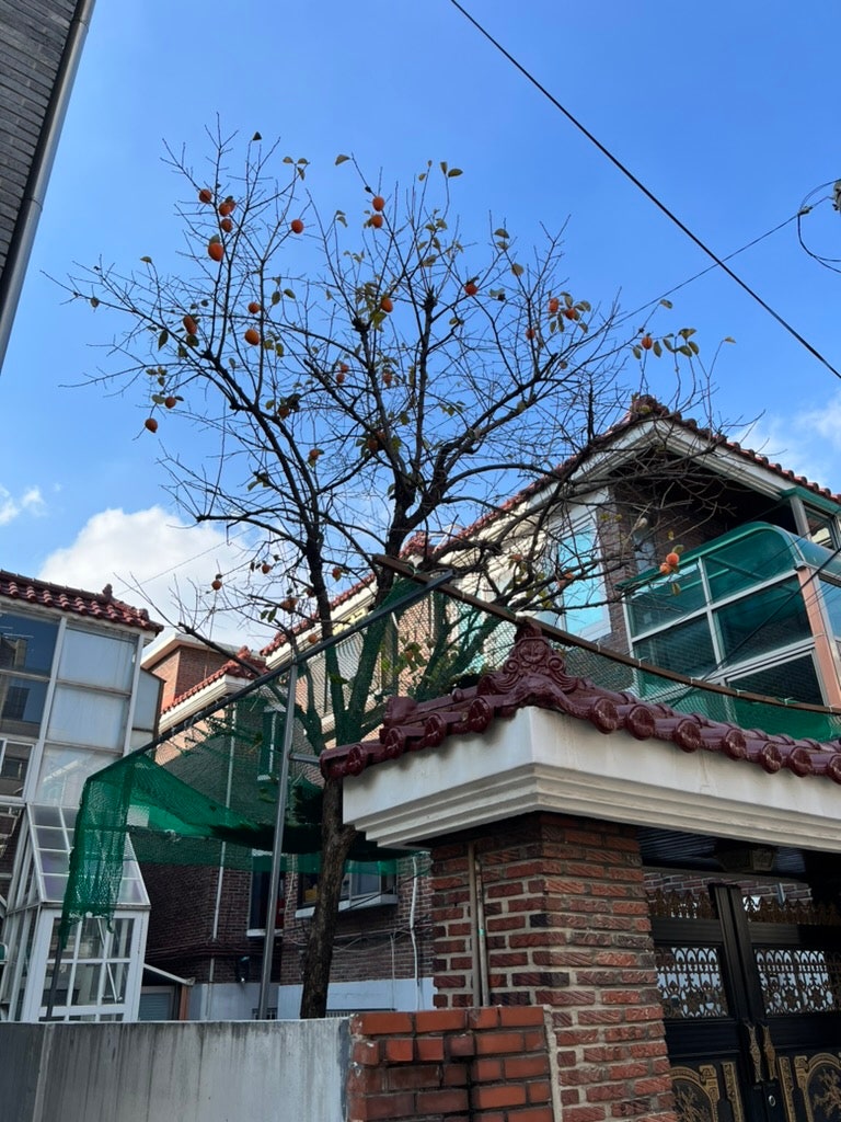My first sourdough experience at Sosimdang in Hwagok, Seoul 7