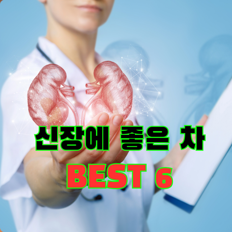  신장콩팥에 좋은 차, 안좋은 차(나쁜음식은?)