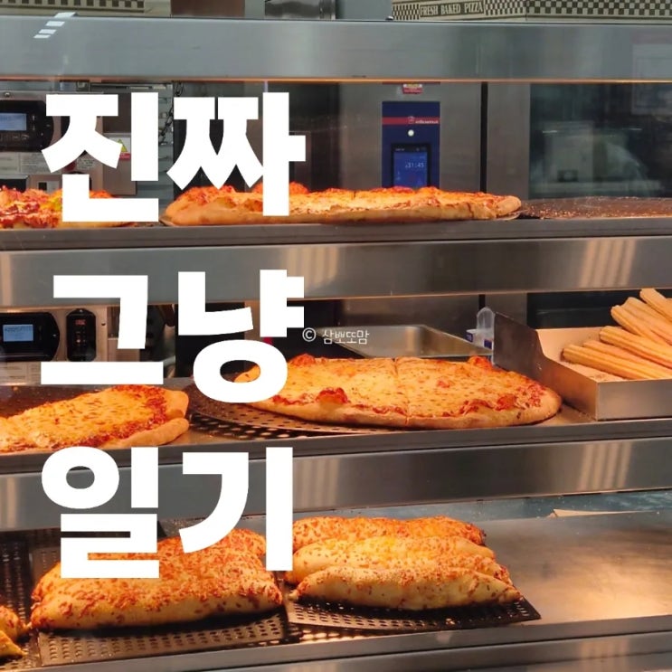  진짜 그냥 일기 | 남편 도시락, 코스트코 쇼핑, PX 구매템까지 총정리
