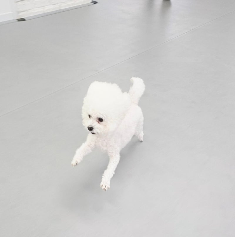 사진 7