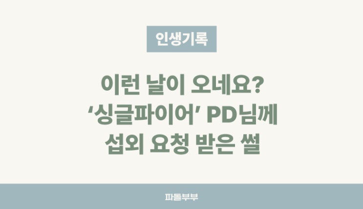  머니투데이 싱글파이어 촬영 후기 (Feat 계좌 수익 현황)