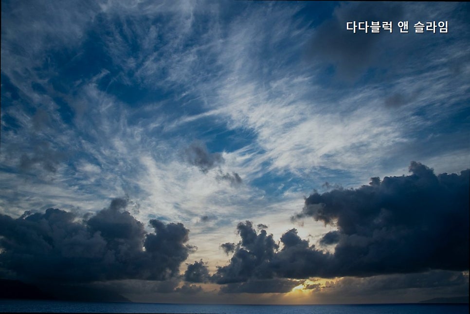 다다블럭앤슬라임 사진 5