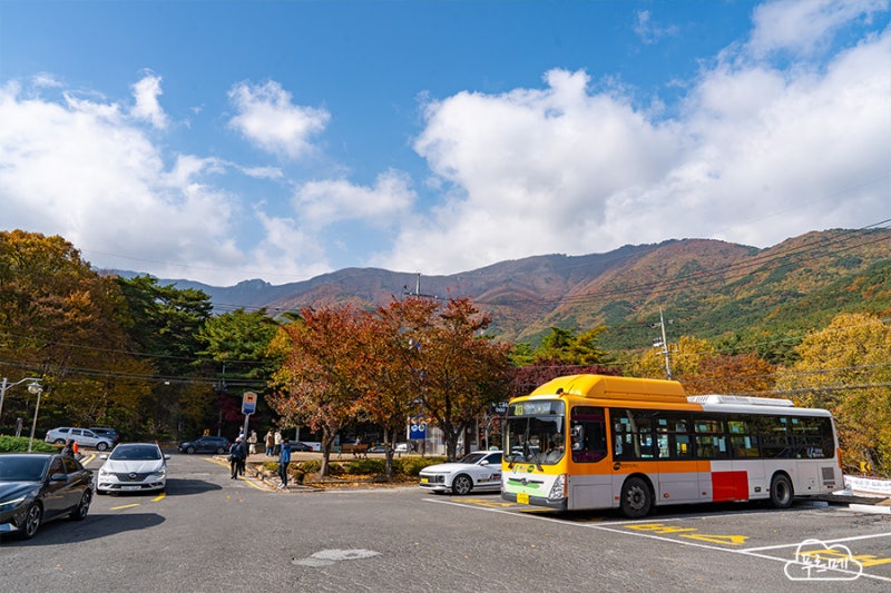 사진 5