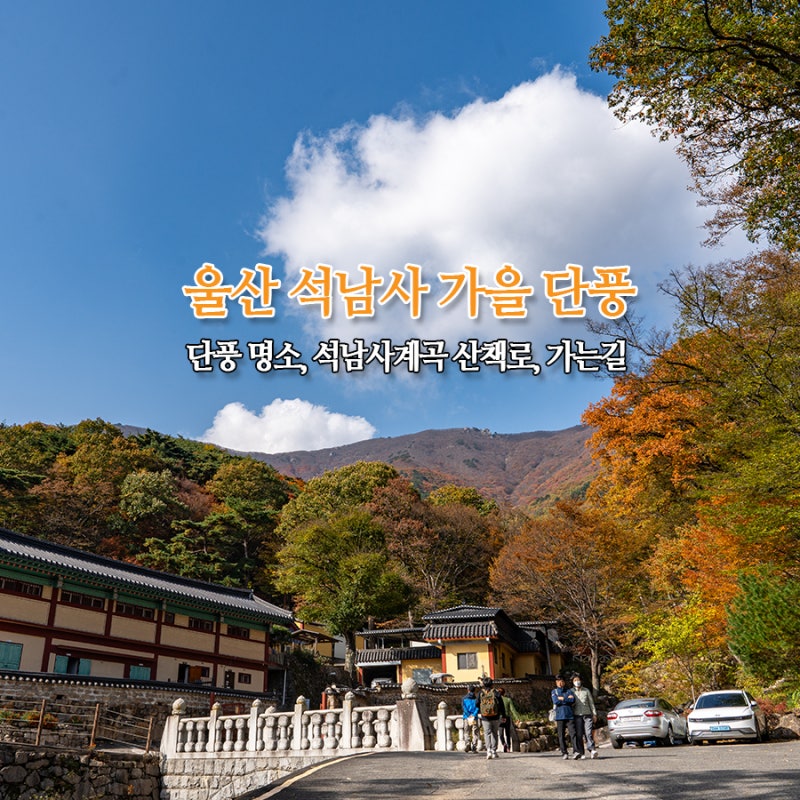 사진 4
