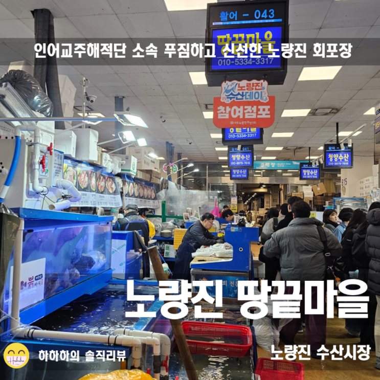  노량진수산시장 회포장 추천 땅끝마을 인어교주해적단 방어광돔회