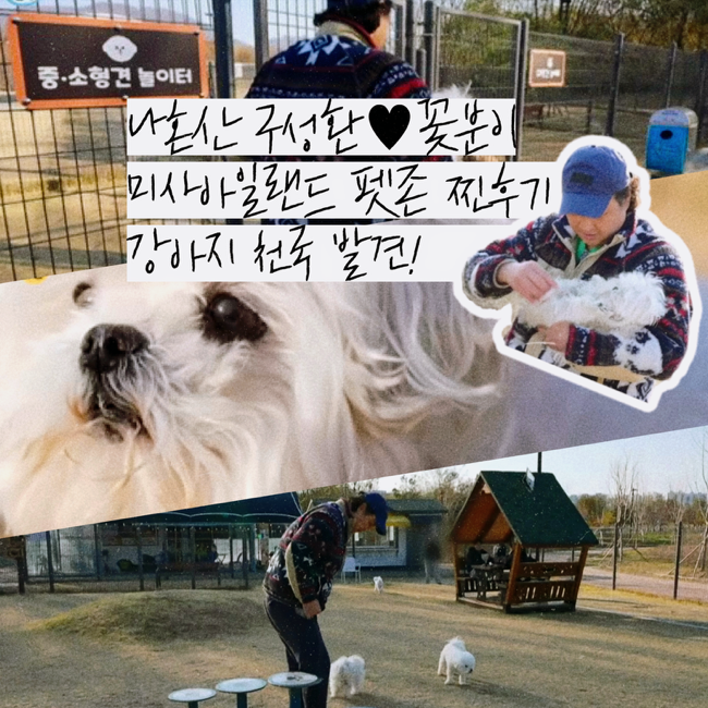 사진 8