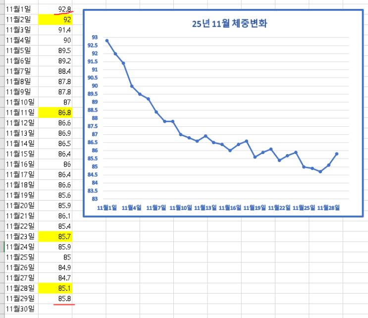  [건강다이어리 +28일]위고비 다섯번째 주사.나눠맞기 펜니들 구매&체중변화