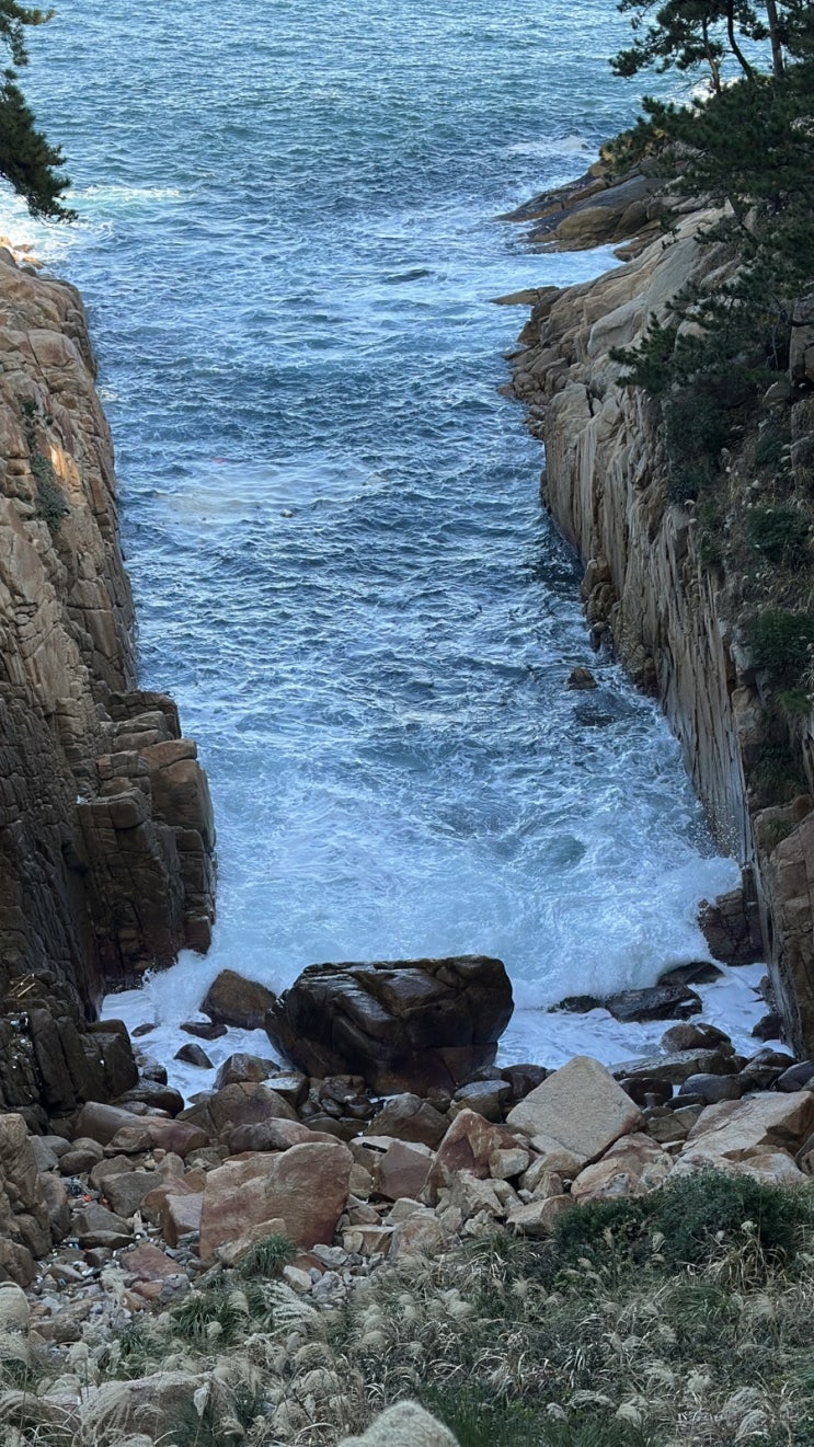  울산 가볼만한곳 출렁다리 대왕암공원 절경 명소
