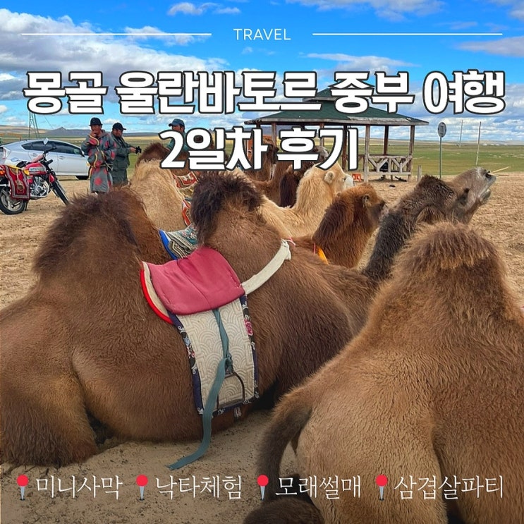  몽골 9월 울란바토르 중부 여행 후기 2일차 코스-미니사막 모래썰매 낙타체험(ft.3박4일 패키지)