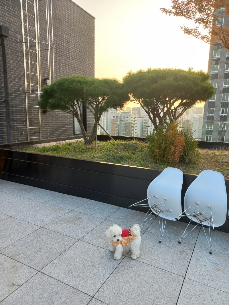사진 5