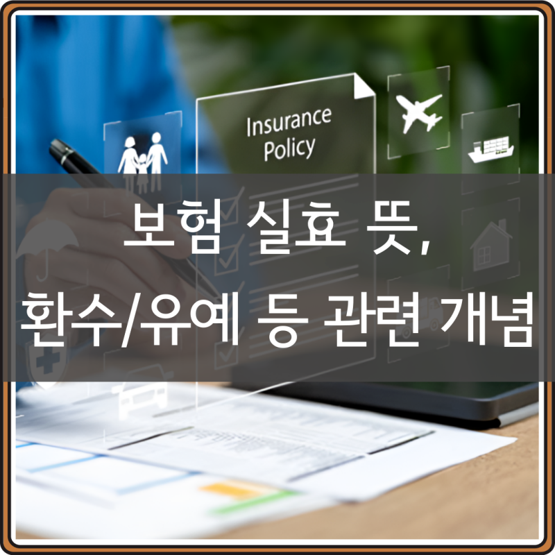 보험 실효 뜻, 기간 환수 유예 개념 정리