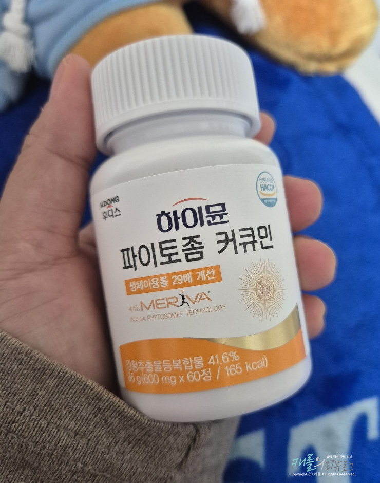 하이뮨 파이토좀 커큐민 손목통증 메리바커큐민 영양제 추천