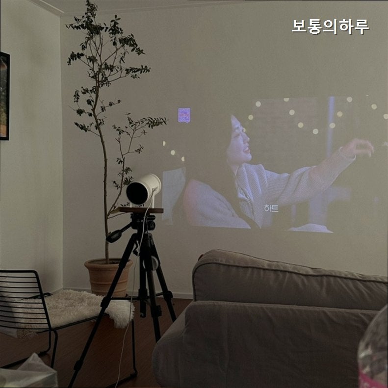 보통의하루 사진