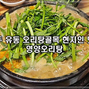 광주 유동 오리탕골목 현지인 맛집 영양오리탕 미나리와 들깨초장이 별미