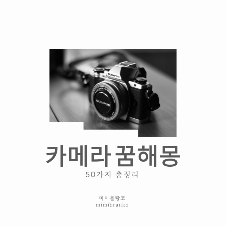  카메라 꿈해몽
