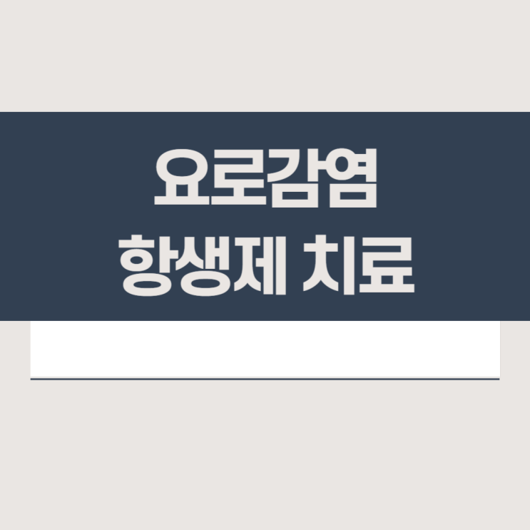  요로감염 치료 (급성 방광염 및 신우신염 치료 항생제)