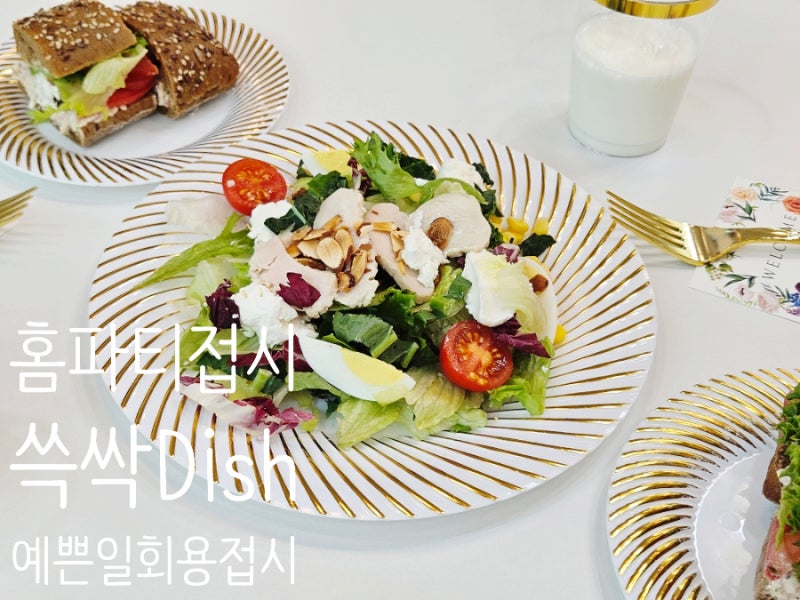 단체행사 홈파티 접시 추천 예쁜일회용접시 쓱싹Dish