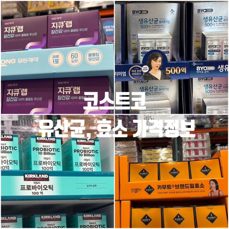 코스트코 유산균 효소 종류 할인가격 드시모네 비에날씬 카무트효소 등