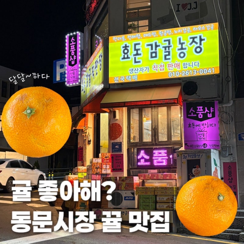 제주 동문시장 귤 맛집 내돈내산 효돈감귤직판장 짱 추천