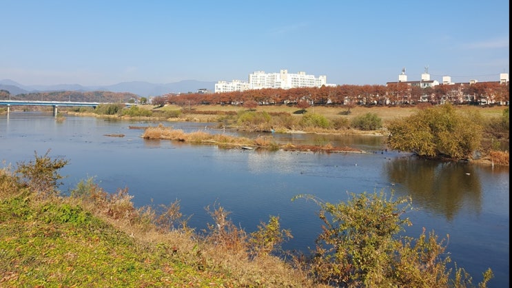  인공위성 발사 국가, 누가 어떻게 우주로 올라가는가