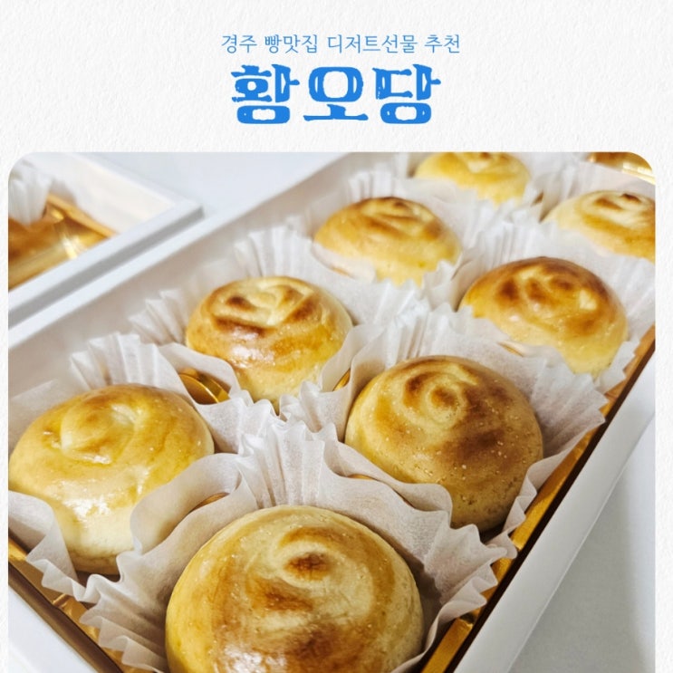  경주 빵맛집 황오당 feat 크림치즈빵 경주 디저트선물