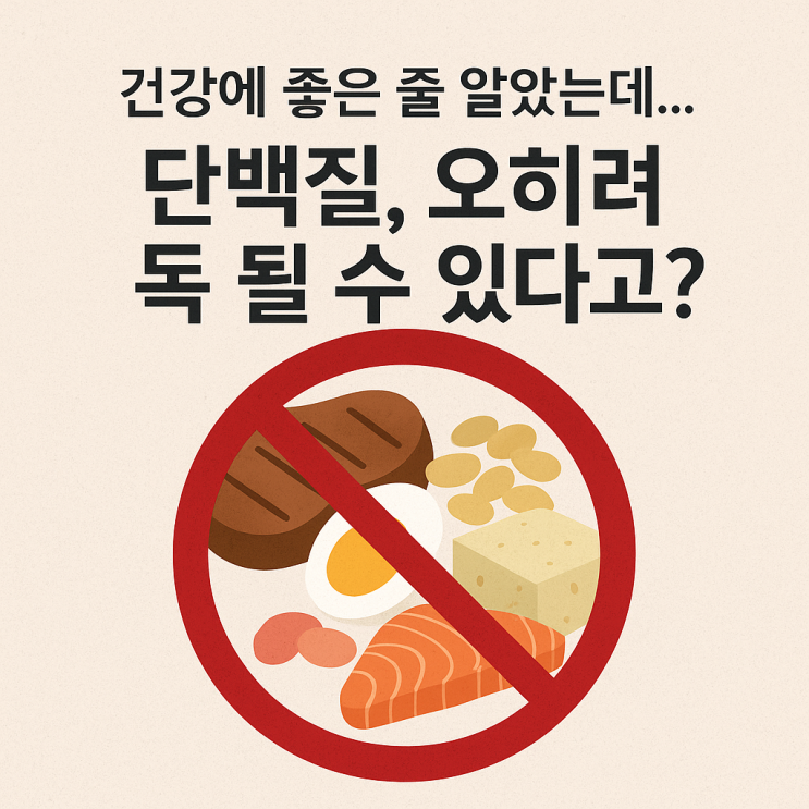  “건강에 좋은 줄 알았는데”… 단백질, 오히려 독 될 수 있다고?
