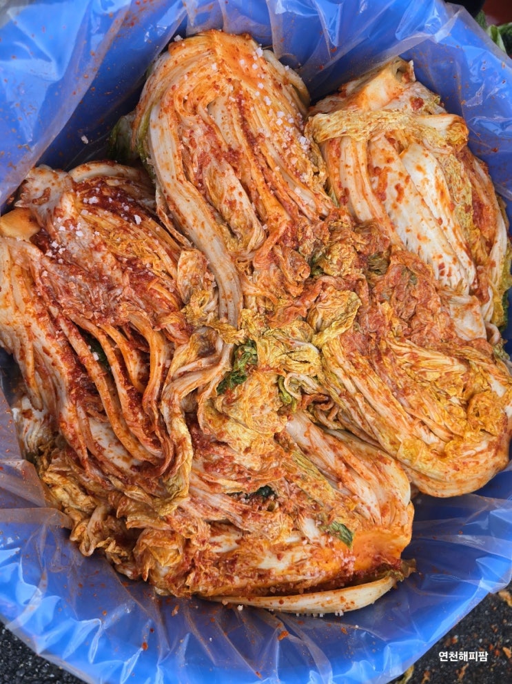  용인 처인구 맛집 백암 대원 김장하는날 500포기 김치찌개 삼겹살