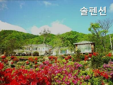 펜션솔 사진 2