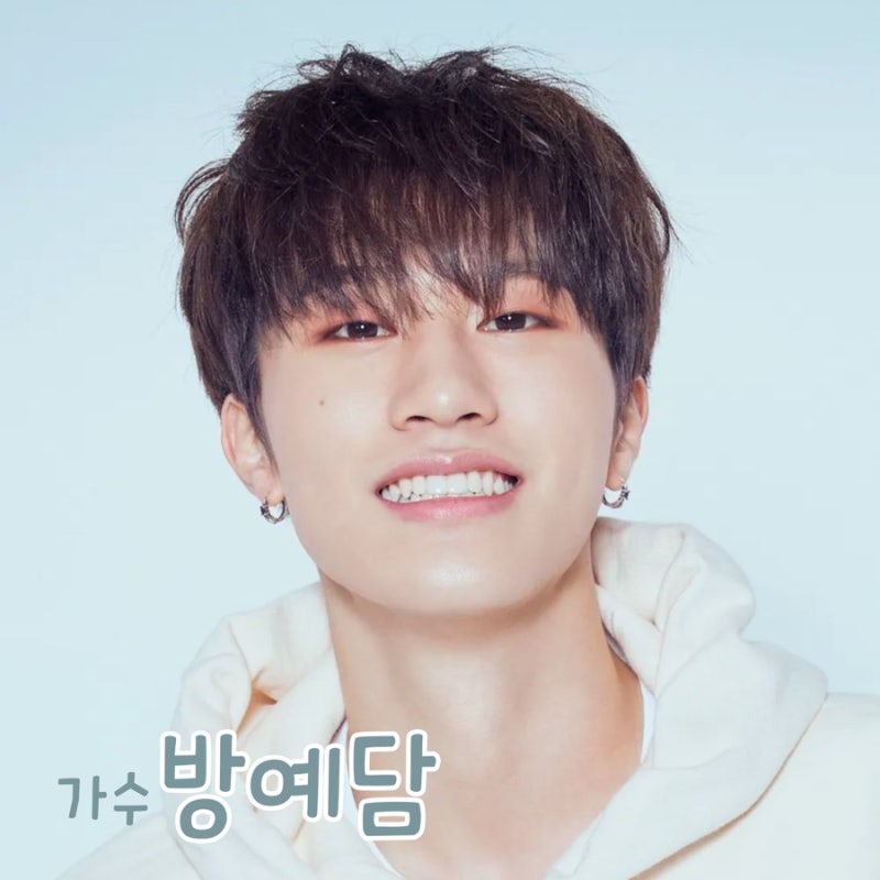 케이팝스타 방예담에서 디모 렉스(DIMO REX)까지