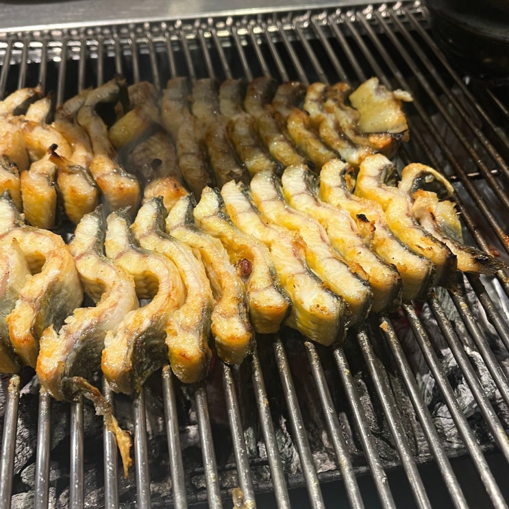  [광주 맛집] 서구 부드러운 민물장어 소금구이 하해가