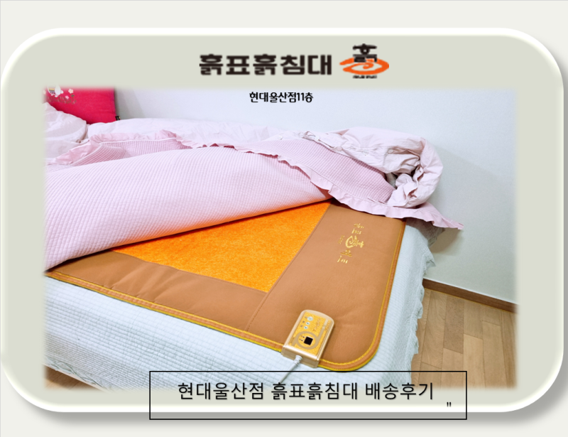 흙표흙침대 추천 UFO-S (흙매트)현대백화점 울산점에서 만난 프리미엄 흙매트