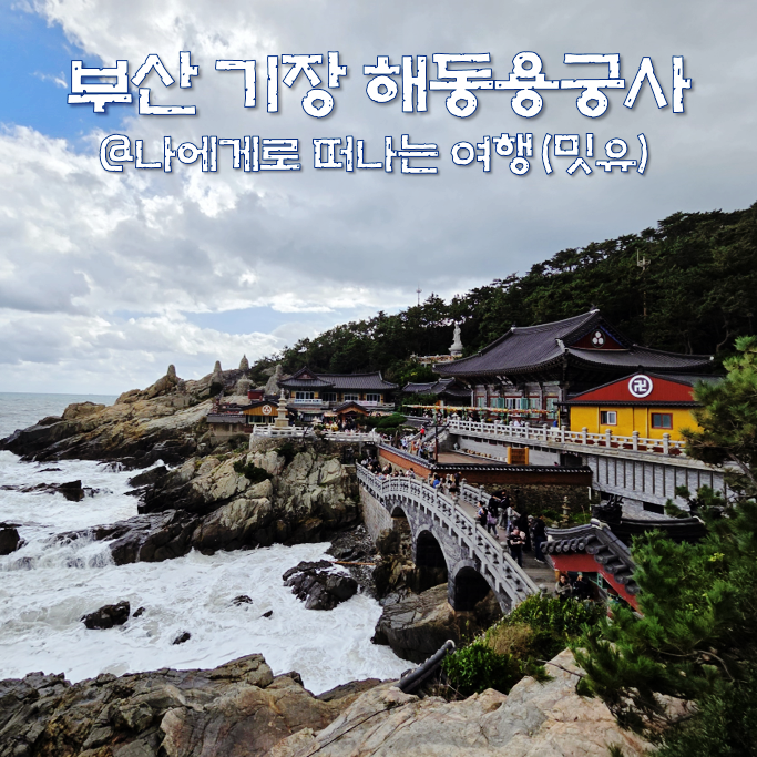  부산 기장 해동용궁사, 일출 아름다운 사찰(맛집 주차 입장료)