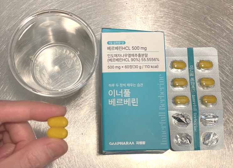  이너풀 베르베린 매자나무열매 효능 추천