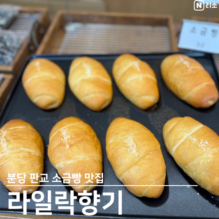  분당 샌드위치 소금빵 맛집 판교 라일락향기