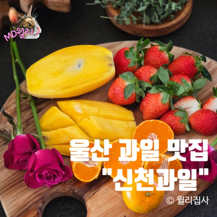  울산 과일 맛집 신천과일 센스 있는 과일바구니 선물