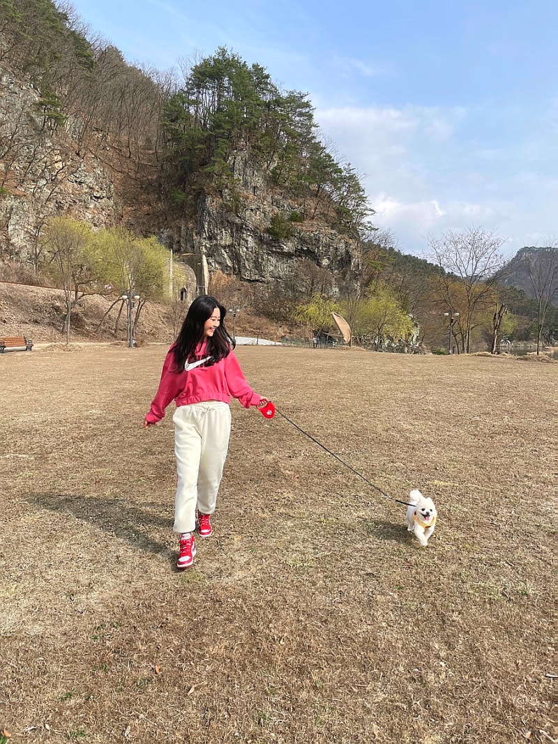 사진 10