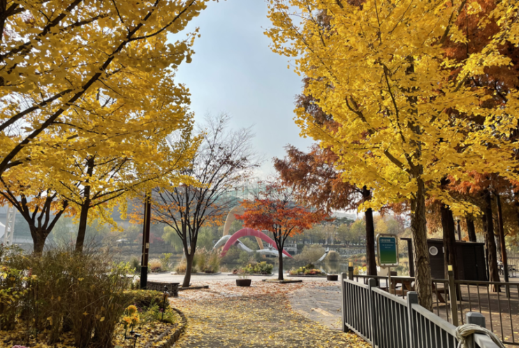  당신의 간이 보내는 경고 신호, 용인 동백 자연한의원