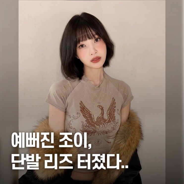  “다이어트 후 달라졌다..” 조이 단발 미모 리즈 갱신 헤메코